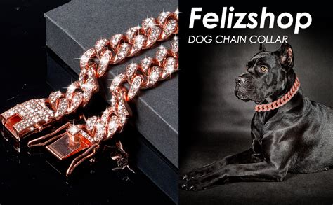 Collar De Cadena Para Perro Con Hebilla Segura Cadena Para Perro