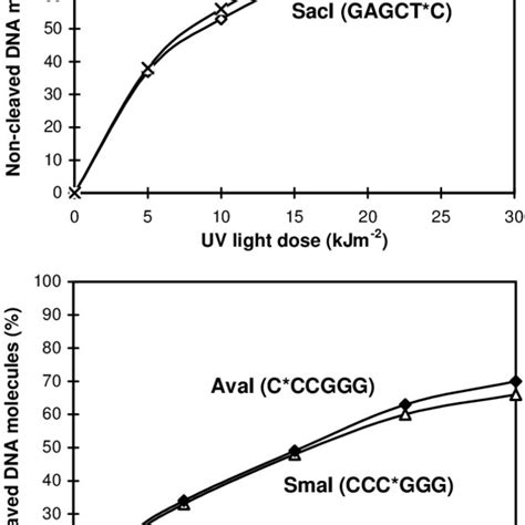 Dose Dependence Of Cleavage Of Uv Light Damaged Dna By Neoschizomer