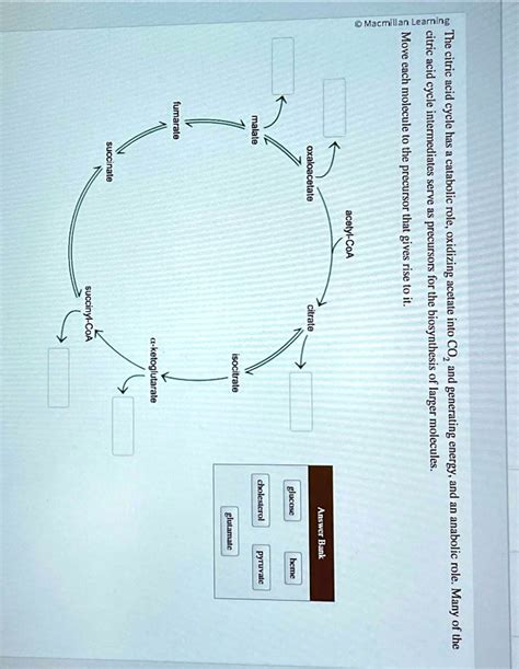 SOLVED: The citric acid cycle has a catabolic role, oxidizing acetate ...