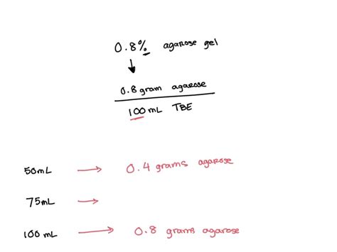 SOLVED: 'Protocol: Agarose gel electrophoresis Prepare and cast a 0.7% ...