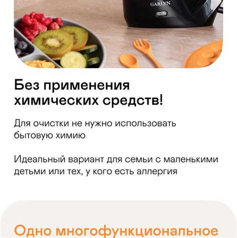Пароочиститель GARLYN ST-05 купить в официальном магазине GARLYN ...
