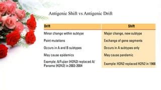 Antigenic shift and drift | PPT