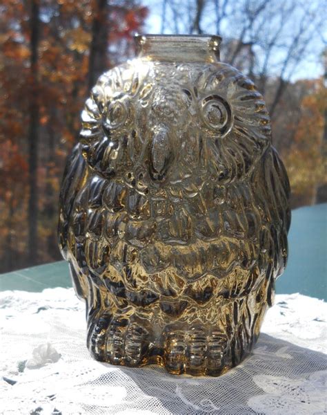 Vintage Smoky Glass Owl Bank Wise Old Owl By Libbey