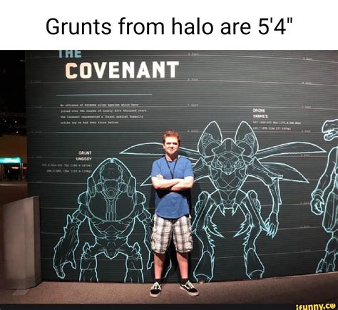 Grunts from halo are 5'4" COVENANT - iFunny