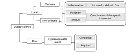 | The major causes of portal vein thrombosis (PVT). | Download ...