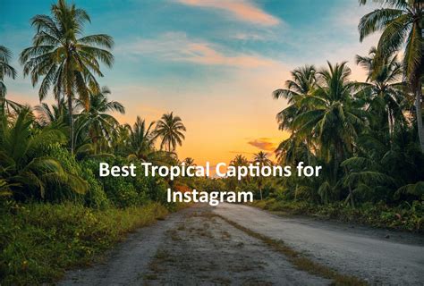 120 Best Tropical Captions For Instagram Photos