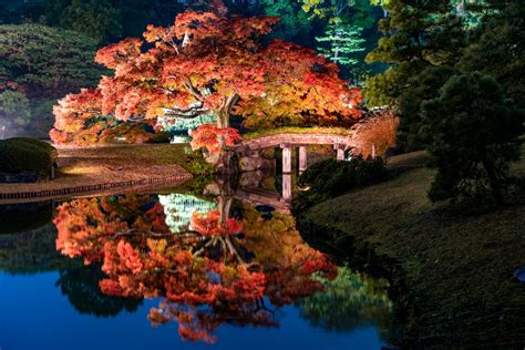 【日本の絶景クイズ】この幻想的な日本庭園の紅葉が見られるのはどの都道府県？22 All About ニュース