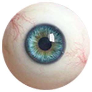 Surreal Perfect Asian Sex Doll Brandi 173cm Mailovedoll