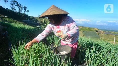 Hilirisasi Pangan Jadi Kunci Stabilkan Harga Bahan Pokok Bisnis