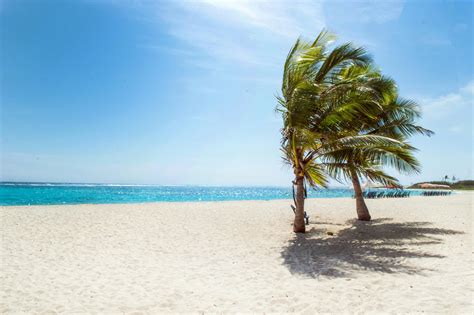 Sunny Beach Photos, Download The BEST Free Sunny Beach Stock Photos & HD Images