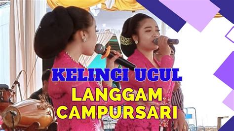 KELINCI UCUL KOLEKSI LANGGAM CAMPURSARI YouTube