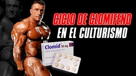 EL CICLITO DE CLOMIFENO YouTube