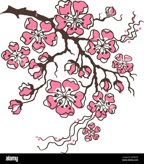 Cherry Blossom, Sakura. Branch with Flowers. Hand-drawn vector clipart ...