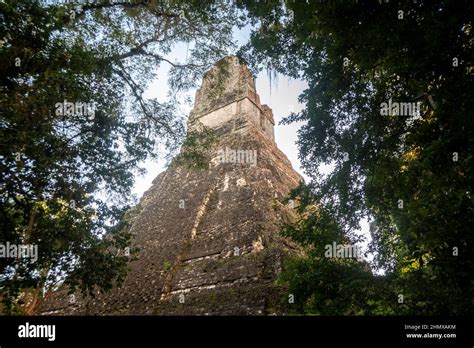 Mayan ruins Tikal Guatemala Stock Photo - Alamy