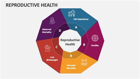 Reproductive Health PowerPoint Presentation Slides PPT Template