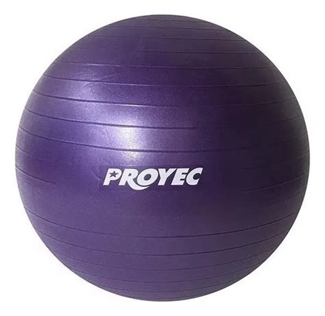 Pelota Yoga Esferodinamia Suiza 85 Cm Gym Fit Ball Cor Violeta