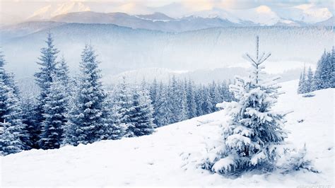 Aesthetic Winter PC Wallpapers - Wallpaper Cave