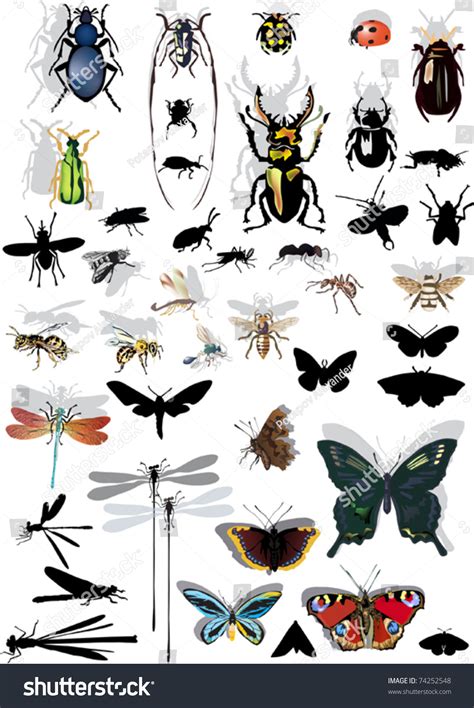 Illustration Insect Silhouettes Isolated On White Stock Vector Royalty