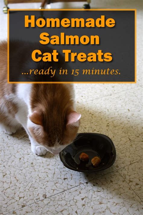 Homemade Salmon Cat Treats