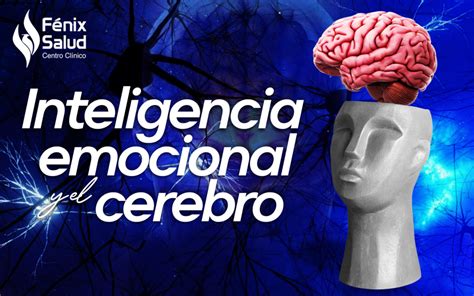 Inteligencia Emocional Y El Cerebro Centro Cl Nico Fenix Salud