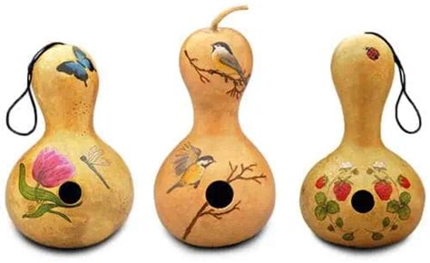 Best Gourd Birdhouse Ideas To Attract And Thrill Your Feathered