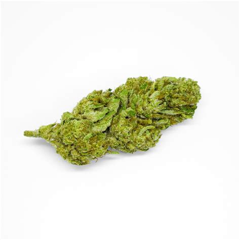 Super Glue