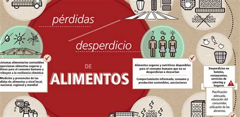 Infografía sobre la pérdida y el desperdicio de alimentos Gastronomía