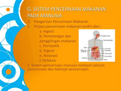 Biologi Makanan Dan Sistem Pencernaan Ppt