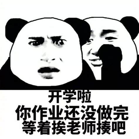 像极了开学前几天狂补作业的我表情包无水印 抖音搞笑表情包分享 后壳下载