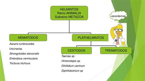 RESUMEN CESTODOS INTESTINALES Andrea Vela UDocz