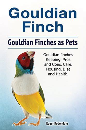 Gouldian Finches Pets Gouldian Finches Pros And Cons Care Diet