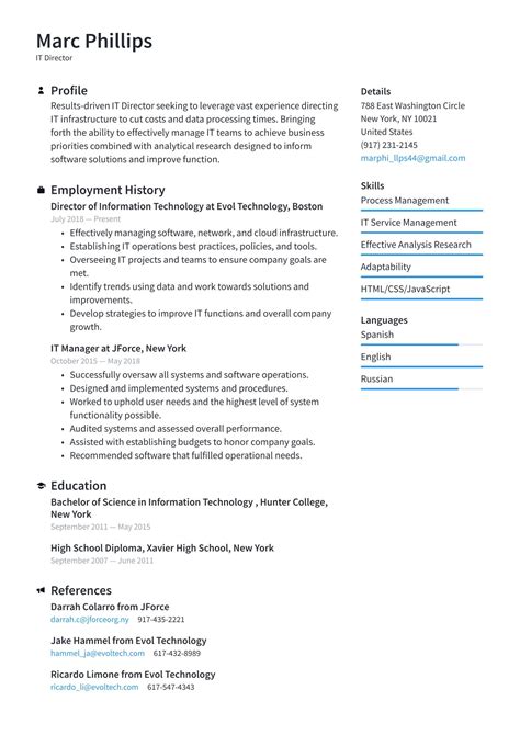 IT Director Resume Examples Templates 2024 Resume Io