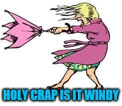 Windy Meme