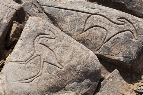 Desert Rock Carvings Tour Of South Morocco 7 Days Desert Majesty