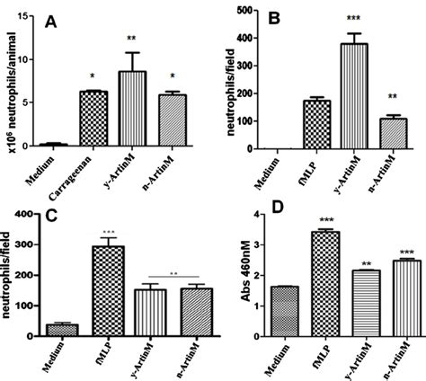 Y Artinm And N Artinm Induce Neutrophil Migration And Degranulation In Download Scientific