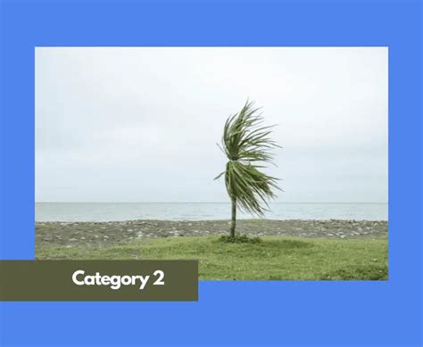 How is a Hurricane Categorized? - (Complete Guide)