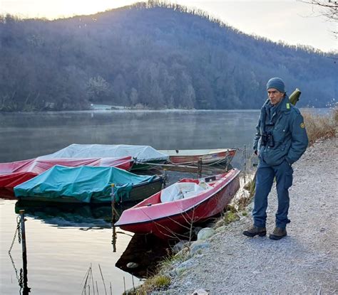 Svelato Il Mistero Delle Carpe Arenate A Imbersago Colpa Dell