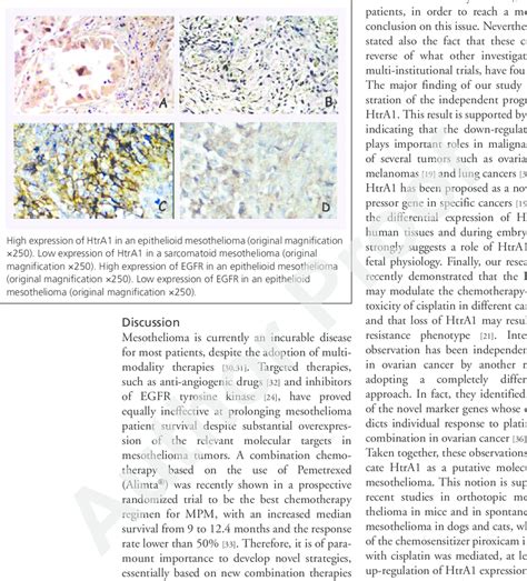 Examples Of Immunohistochemical Staining For HtrA1 And EGFR In