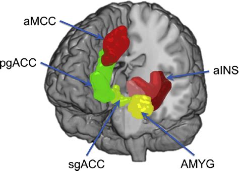 Regions Of Interest From The Emotion Regulation And Salience Networks Download Scientific