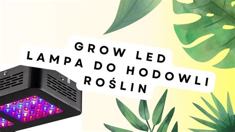 Growled Lampa Led Do Hodowli Ro Lin Szybka Prezentacja Led Growled