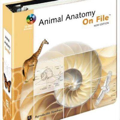 Animal Anatomy for Artists, The Elements of Form | VetBooks