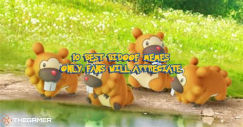 Pokemon: 10 Best Bidoof Memes Only Fans Will Appreciate