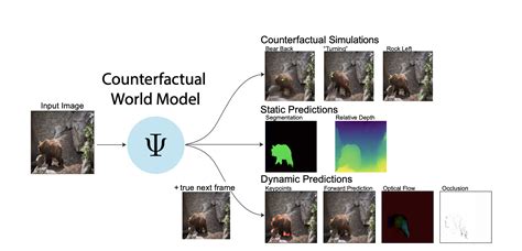 Stanford Researchers Introduce Cwm Counterfactual World Modeling A