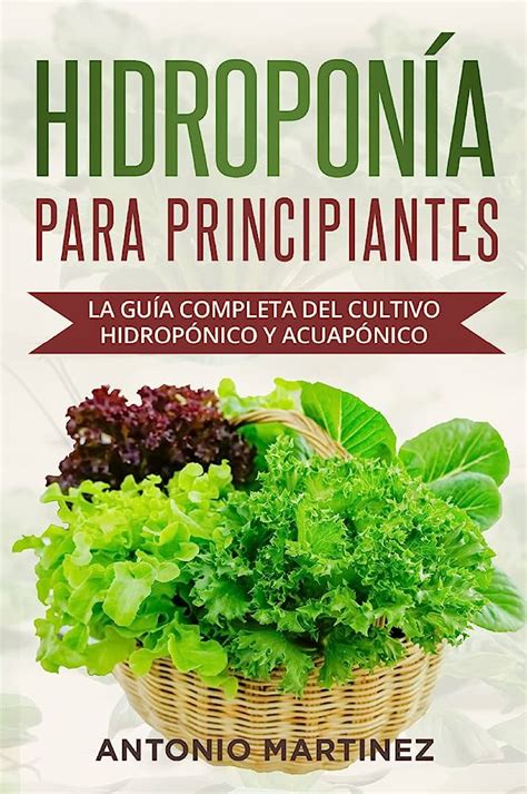 Cultivos Para HidroponÍa Guía Completa ¡descubre Las Mejores Opciones