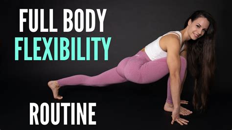 Full Body Beginner Flexibility 15 Minute Follow Along Routine Youtube