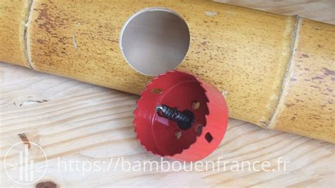 Assemblage De Bambous Secs Guide Illustr Bambou En France