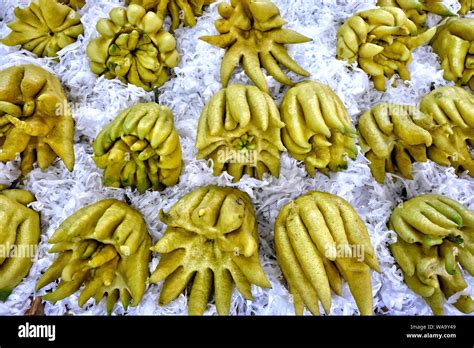 Lemon Buddha's hand in a market in Hanoi, Vietnam Stock Photo - Alamy