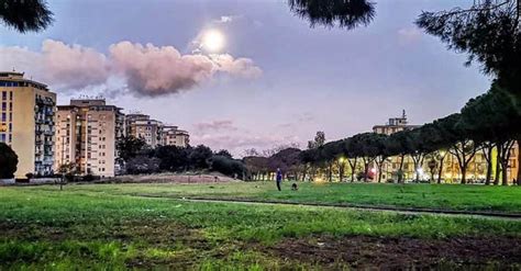 C Un Grande Prato Verde Al Parco Tindari Di Palermo Potrebbero