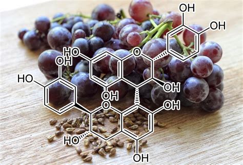 Procyanidin B3 | Interstellar Blends | Activate Your Super Powers!