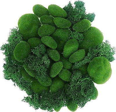 Woohome Pcs Size Artificial Moss Rocks Decorative Green Moss